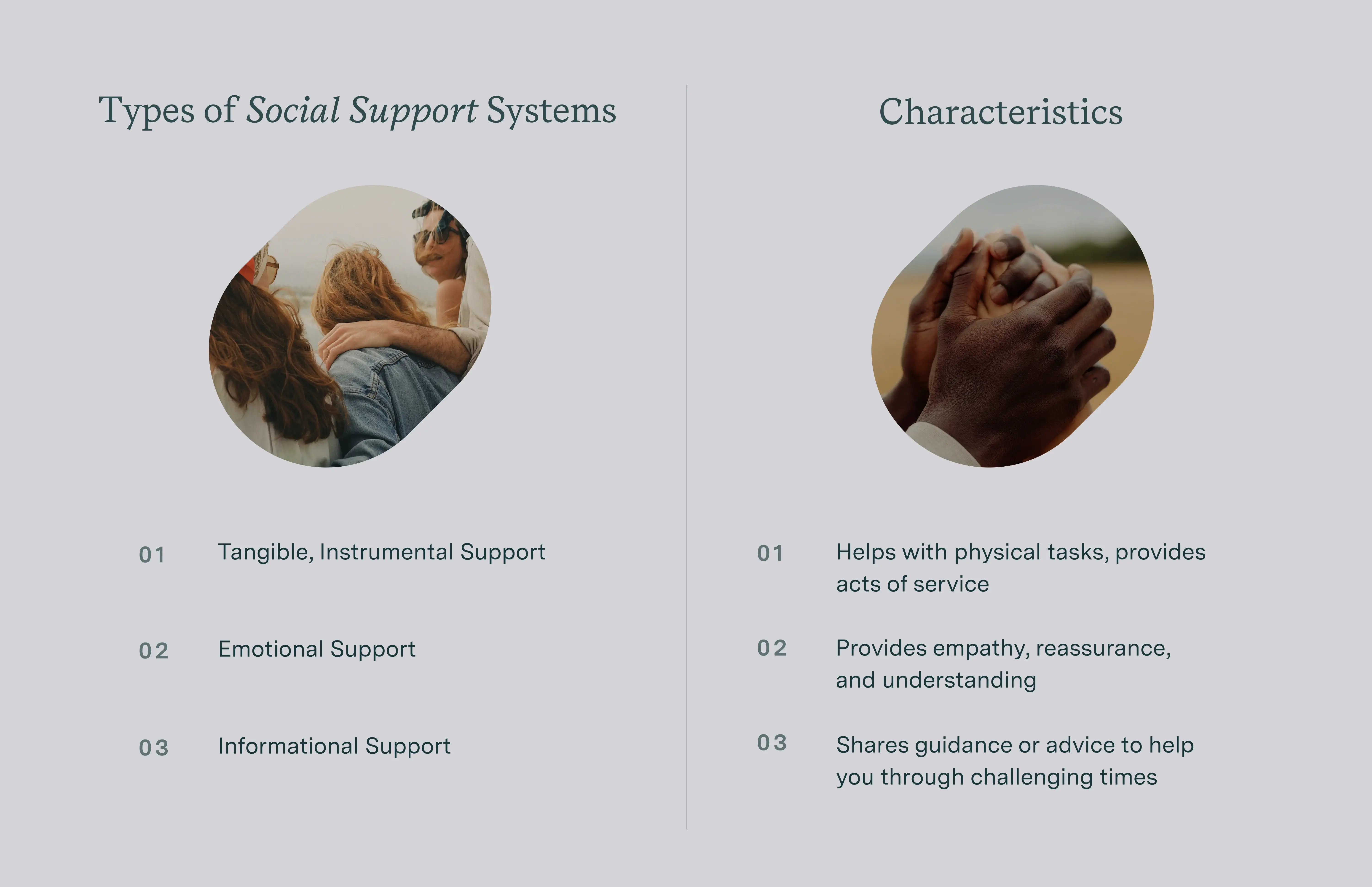 infographic of types of support systems and their characteristics